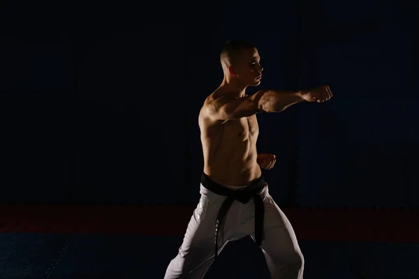 Közelkép Egy Jóképű Fiatalember Sziluettjéről Aki Kizami Tsuki Játszik Karate — Stock Fotó