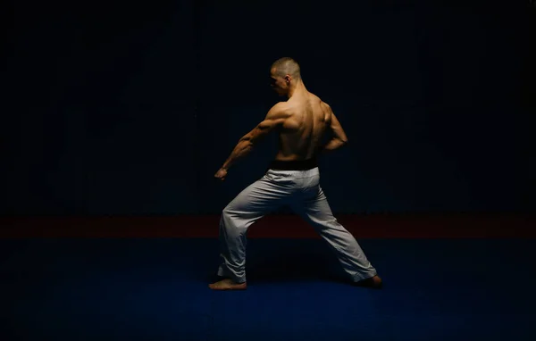 Knappe Jongeman Doet Gedan Barai Karate Pose Studio — Stockfoto