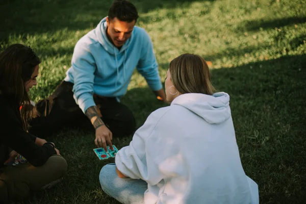 Close Best Friends Playing Ludo Park While Sitting Grass — Stock Photo, Image
