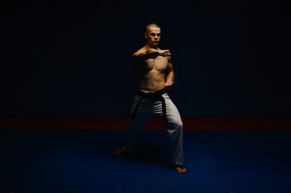 Sylwetka Męskiego Karatyka Grającego Gyaku Tsuki Studiu Karate — Zdjęcie stockowe