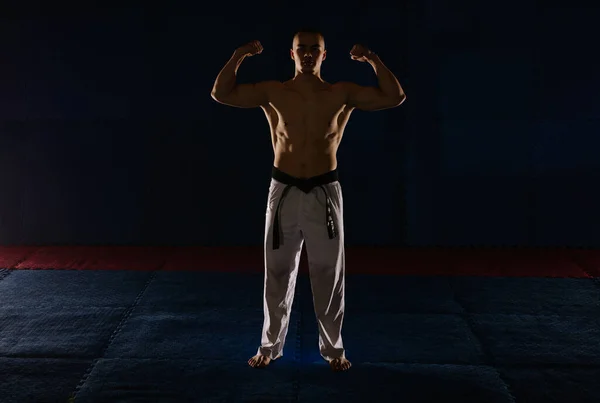 Silueta Dobře Vypadajícího Karatisty Pózujícího Svaly Když Stojí Karate Studiu — Stock fotografie