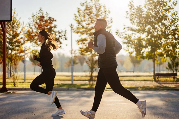 公園をジョギングしている トレーニングの前に暖まるハンサムな男性と美しい女性のスポーツの人々 — ストック写真