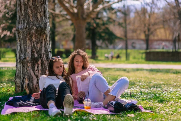 紫の毛布の上に横たわっている間 公園で一緒に勉強している2人の若い美しい女の子の低角度ビューショット — ストック写真