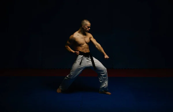 Stilig Ung Man Gör Gedan Barai Pose Karate Studio — Stockfoto