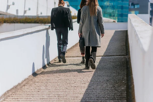 Rückenansicht Von Drei Geschäftsfrauen Beim Gehen — Stockfoto