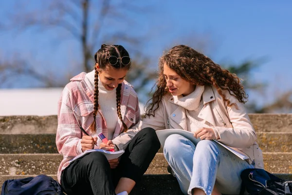Φωτογραφία Δύο Νεαρών Κοριτσιών Λυκείου Που Γράφουν Σημειωματάριο Ενώ Κάθονται — Φωτογραφία Αρχείου