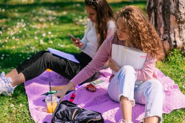 放学后 漂亮的女孩坐在公园的毛毯上 卷发女孩拿着一支笔 — 图库照片