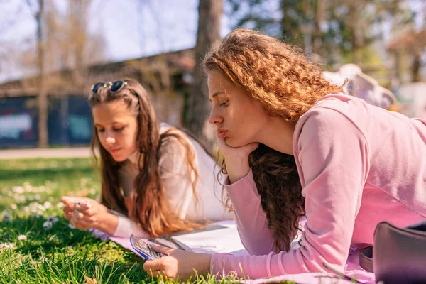 Zwei Mädchen Lernen Gemeinsam Park Lockiges Mädchen Mit Taschenrechner — Stockfoto