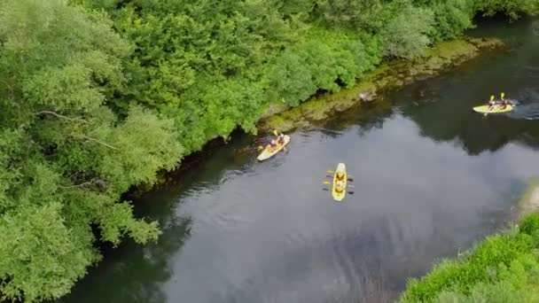 在一个美丽的夏日 卡车司机在河里玩得很开心的高收视率视频 在河里划船 空中风景 无人机视图 — 图库视频影像