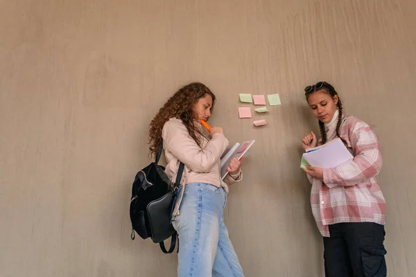 宿題を読んでいる2人の素敵な女子高生のフロントビューショット 壁の付箋に解決策を書いてる — ストック写真