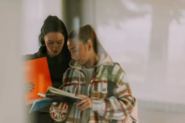 Rubia Morena Chicas Secundaria Están Estudiando Juntos Antes Del Examen —  Fotos de Stock