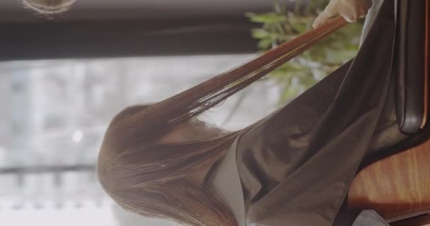 Kızıl Saçlı Saçları Modern Bir Kozmetik Salonunda Şekillendirilmiş Dikey Video — Stok video