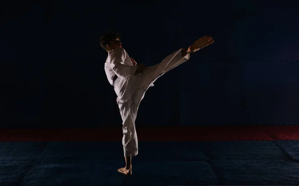 Silueta Joven Karatista Haciendo Pose Ushiro Geri Estudio Karate — Foto de Stock