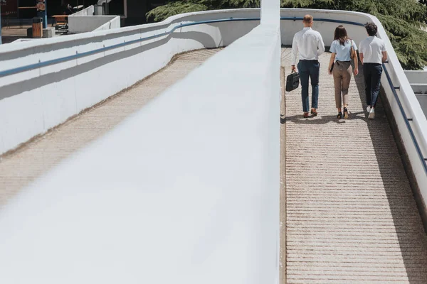 Three Young Businesspeople Walking Path Turned Backwards Talking Each Other — Stock Photo, Image