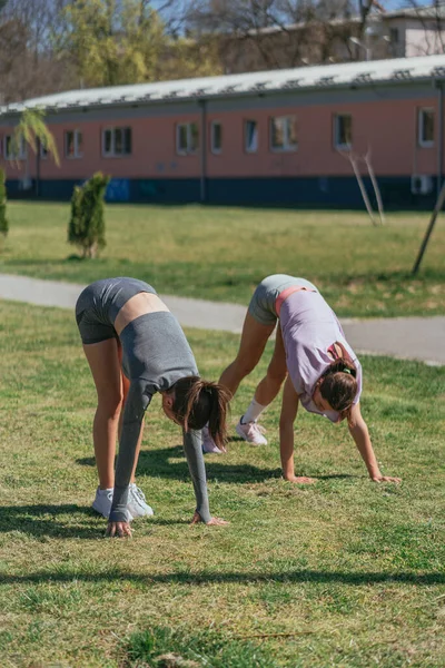 Vista Frontal Dos Chicas Deportivas Estirando Sus Espaldas Espinas Parque —  Fotos de Stock