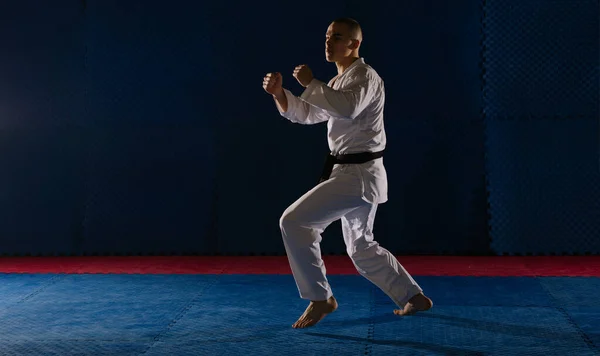Karate Teen Boy Athlet Does Kata Die Studio Mit Seine — Stockfoto