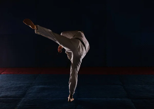 Silhouette Karatist Black Belt Doing Ushiro Geri Karate Studio — Stock Photo, Image