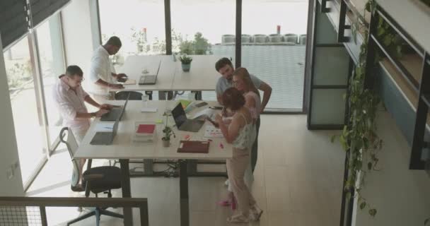 Разновозрастная Гендерная Группа Людей Работающих Современном Офисном Пространстве Вид Сверху — стоковое видео