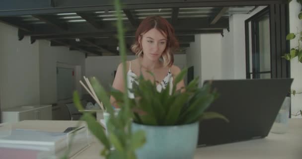 Aranyos Lány Egyedül Dolgozik Irodában Jegyzeteket Füzetbe Nyári Munkaidőben Dolgozik — Stock videók