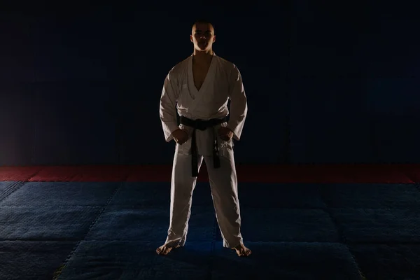 Silhouette Eines Jugendlichen Karate Jungen Der Karate Studio Steht Und — Stockfoto