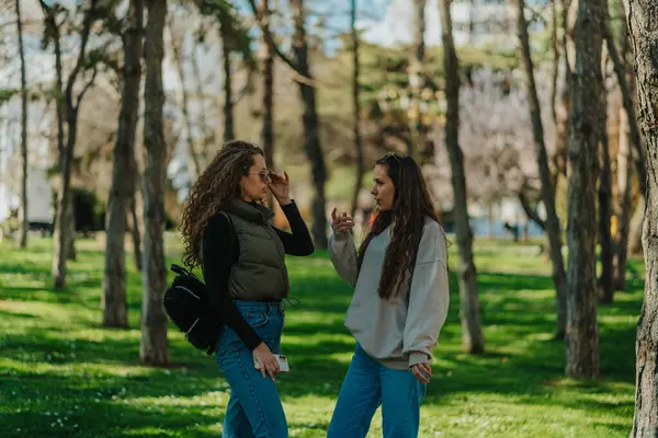 Güzel Esmer Kız Parkta Takılırken Kıvırcık Saçlı Arkadaşıyla Konuşuyor Yan — Stok fotoğraf