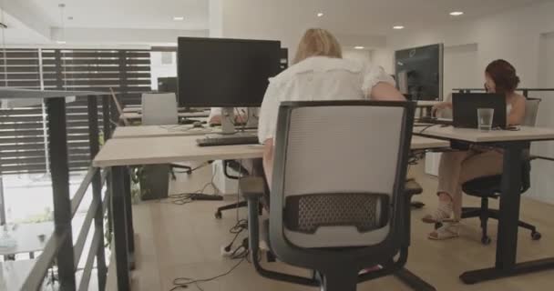 Los Trabajadores Oficina Mientras Trabajan Otros Están Descansando Durante Las — Vídeo de stock