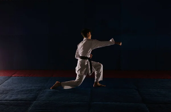 Young Handsome Man Doing Gyaku Tsuki Pose Karate Video — Stock Photo, Image