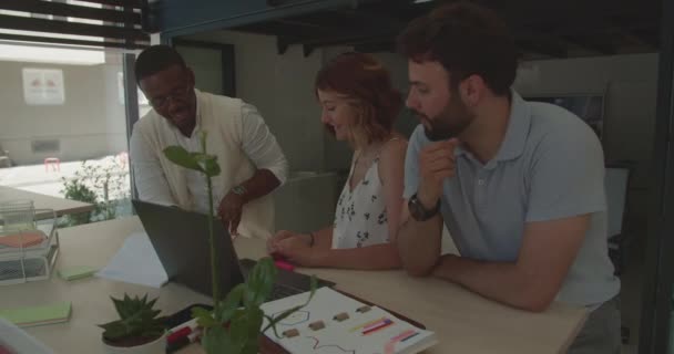 Beyaz Siyah Arkadaşları Yazın Modern Bir Ofiste Birlikte Çalışıyorlar Yan — Stok video