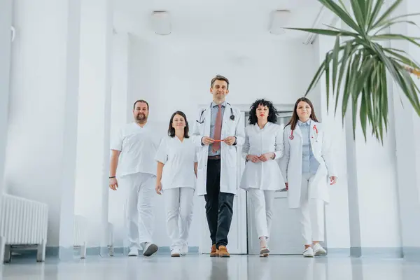 A confident group of doctors, including a female specialist, walk through a hospital hallway. They wear medical uniforms and lab coats, and the smiling for a portrait.