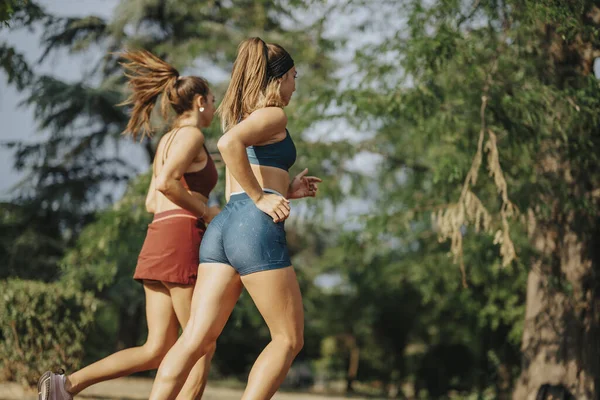 ジョギングの友人 自然の中で心臓のワークアウトを楽しむフィットガールを刺激する — ストック写真