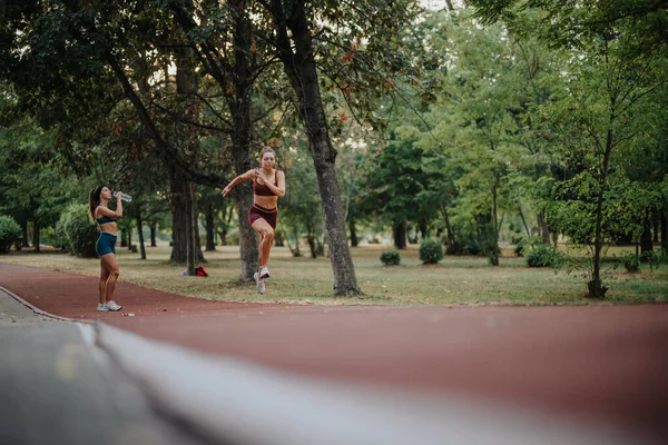 Fitness Enthousiastelingen Omarm Het Buitenleven Versterk Hun Stamina Temidden Van — Stockfoto