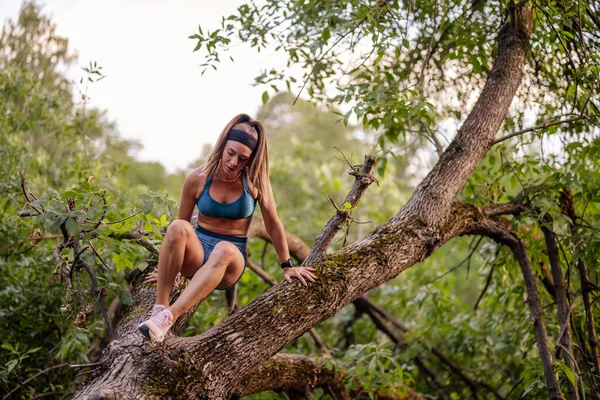 Fit Girl Exercises Outdoors Park Climbing Tree Stretching She Enjoys — Stock Photo, Image