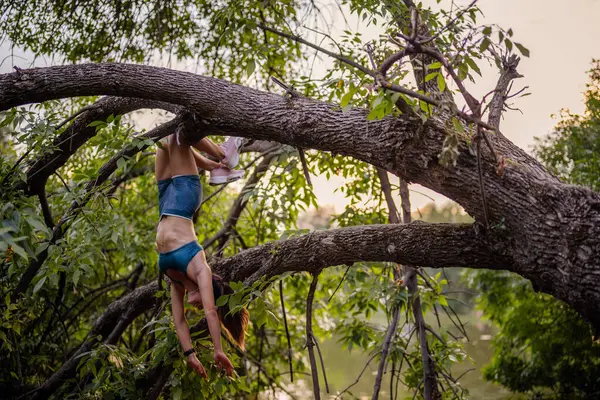An active, fit girl climbs a tree, exercising and preparing for a workout in a green park. Enjoying the outdoors, she embraces a healthy lifestyle and engages in stretching and strength training.