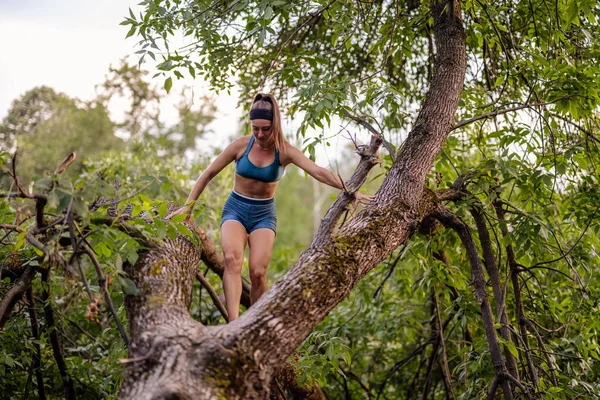 Fit Girl Training Nature Active Athlete Stretching Exercising Tree — Stock Photo, Image
