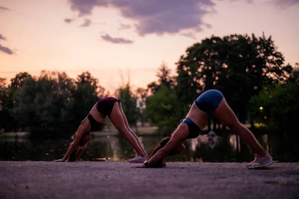 Fit females work out together at night in a green park, stretching and warming up. Their flexible bodies demonstrate strength and athleticism as they prepare for their outdoor training session.