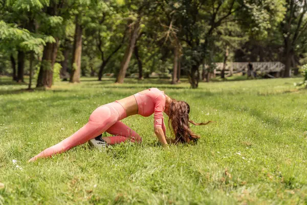 Active females perform sport routines in an urban park, stretching and working out together. Their fitness and energy inspire a vibrant outdoor lifestyle.