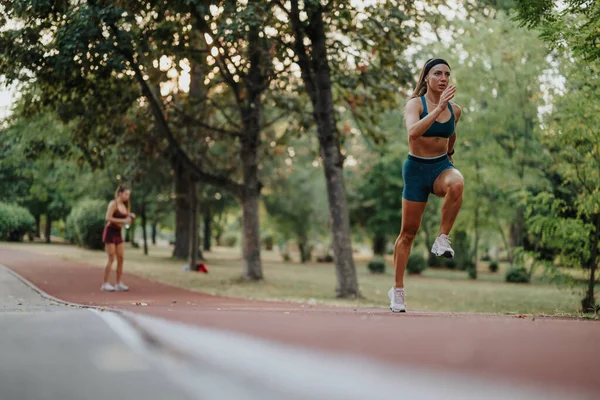 フィットガールズは緑の公園で屋外でトレーニングを行い 運動体とモチベーションを披露しています 彼らはジョギングし 健康的なライフスタイルへの耐久性とコミットメントを実証します — ストック写真