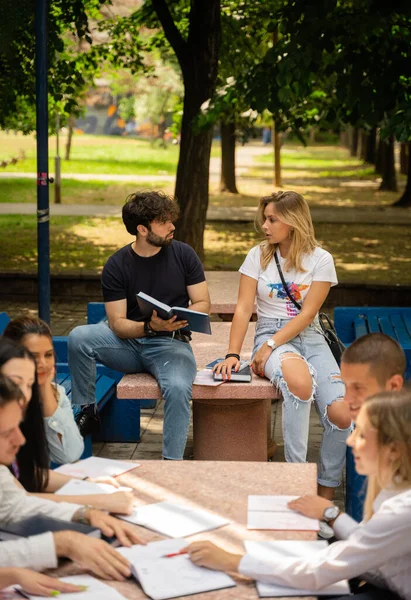 Multicultural Group University Students Engaged Academic Debate Collaborative Learning Outdoors — Stock fotografie