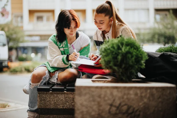 屋外で一緒に勉強する2人の若い友人 リモートラーニングと学校のテーマについて話し合う — ストック写真
