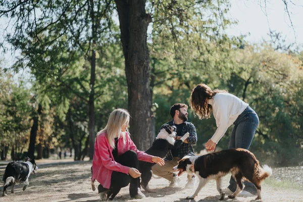 无忧无虑的朋友们与爱玩的狗一起在城市公园度过一个阳光灿烂的日子 — 图库照片