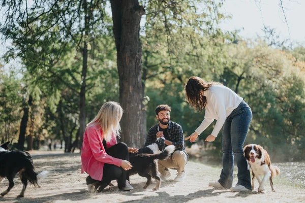 快乐的朋友和爱玩耍的狗在城市公园里拥抱大自然的快乐 他们是随意的 无忧无虑的 他们放松了 融入了社交生活 并享受了阳光灿烂的一天带来的积极能量 — 图库照片