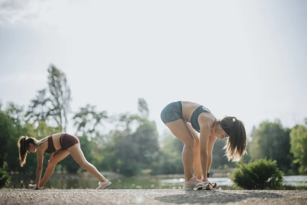 アスレチックな女性のグループが屋外で運動し 体に合った体を披露します 彼らはトレーニングの一環として緑の環境でストレッチルーチンを実行します — ストック写真