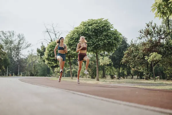 運動選手は緑の公園で屋外でジョギングし 健康的なライフスタイルとワークアウトの動機を刺激します — ストック写真