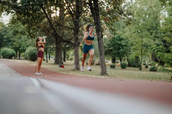 Meninas Exercitando Livre Parque Mostrando Seus Corpos Atléticos Jogging Corrida — Fotografia de Stock