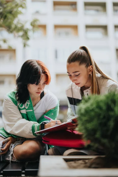 Două Fete Tinere Care Studiază Aer Liber Pregătesc Pentru Examen — Fotografie, imagine de stoc