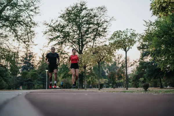 イブニングワークアウト 自然公園で一緒に走る運動カップル — ストック写真