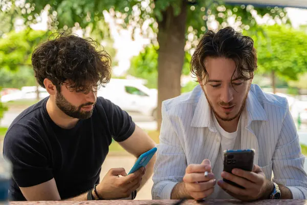 University students collaborating in an outdoor group discussion, exchanging ideas and comparing exam answers. They study together, using smart phones for communication and resources.