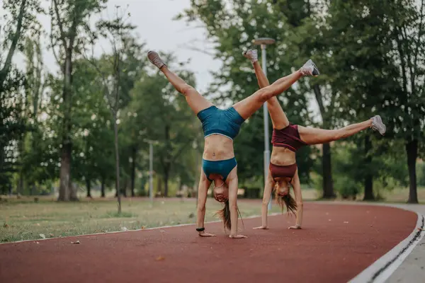 适合姐妹们在户外表演360度的手推车和翻跟头 有激情的 活跃的妇女表现出力量和灵活性 在公园鼓励晚上锻炼 — 图库照片