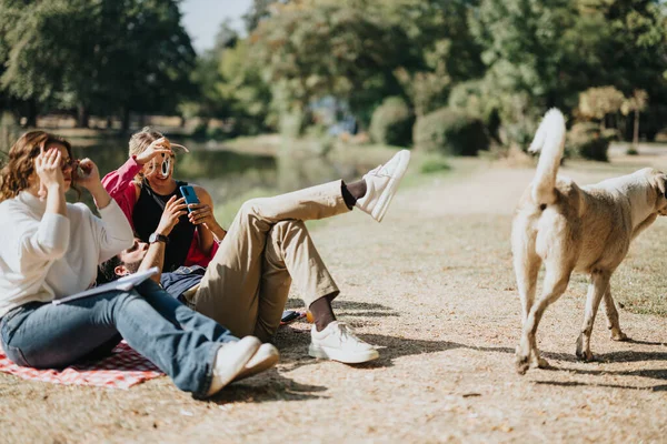 在阳光明媚的日子里 公园里和狗在一起 在一个积极快乐的环境中享受大自然的快乐 进行有趣的交谈和放松 — 图库照片