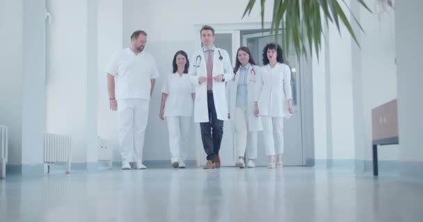 Group Successful Doctors Specialists Walking Modern Clinic Hallway Team Doctors — Stock Video